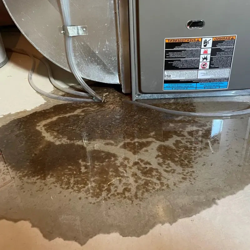 Pipe Burst and Leak Restoration in Hillsboro, ND