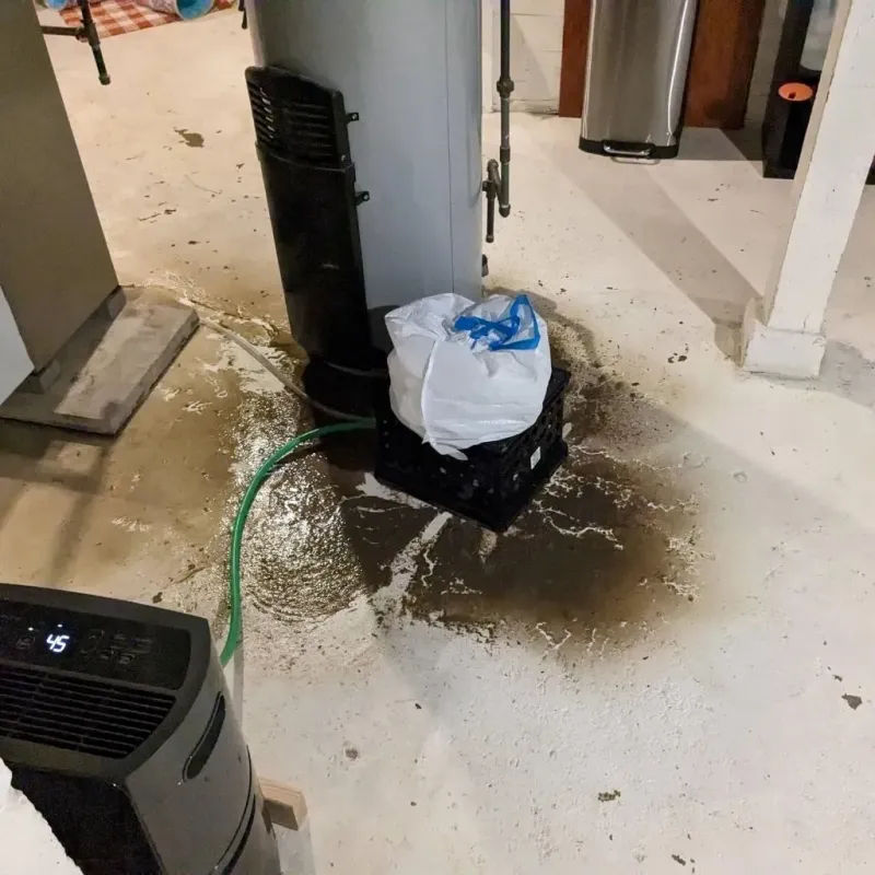 Sewage Backup Cleanup Service in Hillsboro, ND